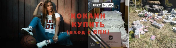 индика Арсеньев