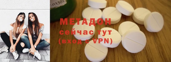 индика Арсеньев