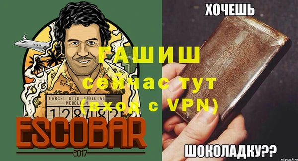 индика Арсеньев