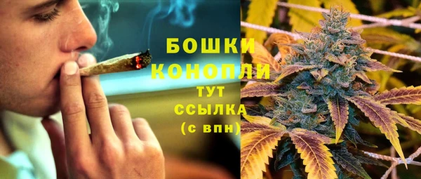 индика Арсеньев